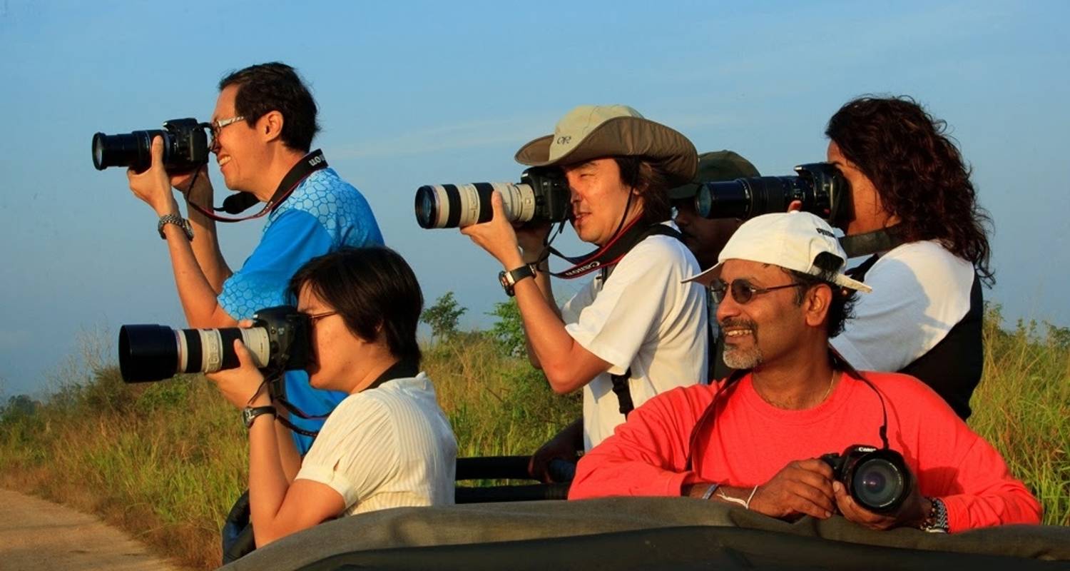 Observación de aves en Sri Lanka - Overa Tours