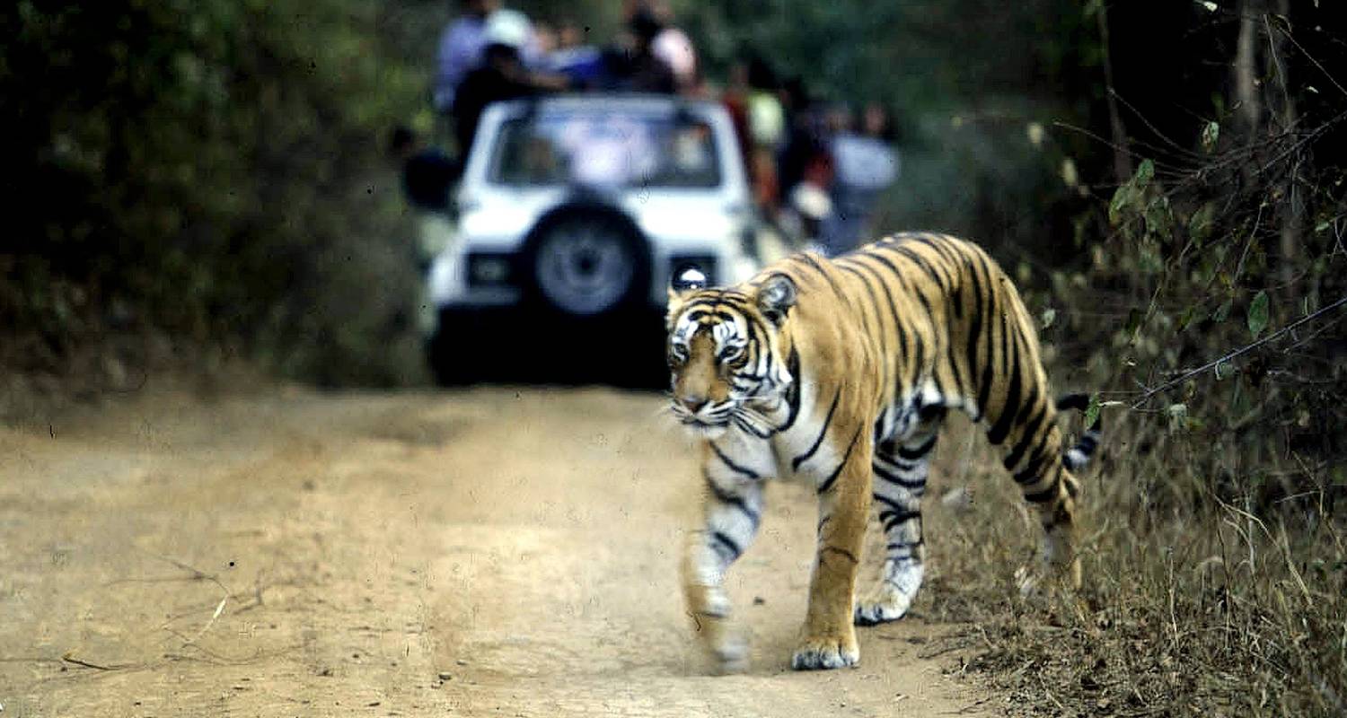 Luxury Golden Triangle with Ranthambore Tour - Golden Triangle India Tours