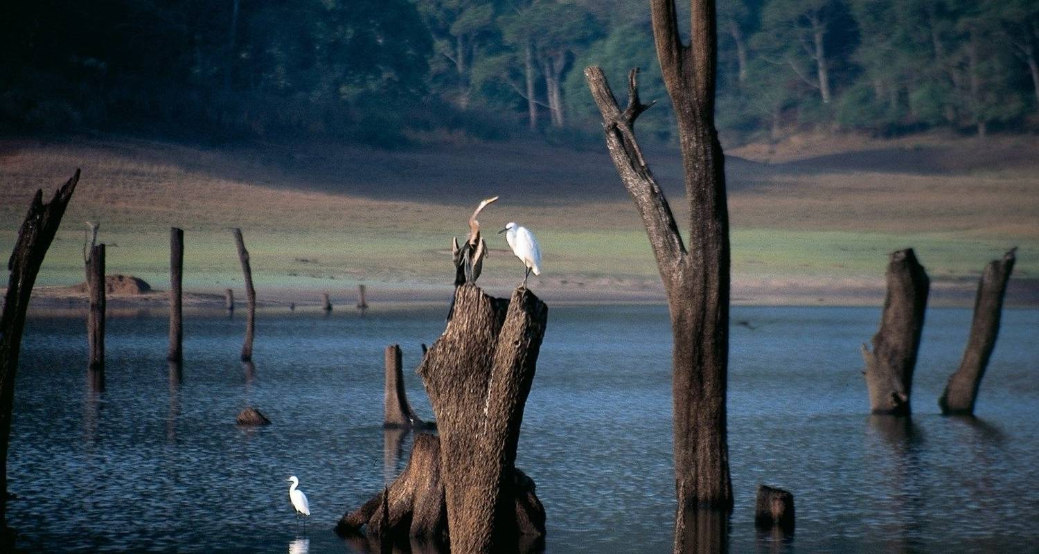 Kerala Rundreise - Golden Triangle India Tours