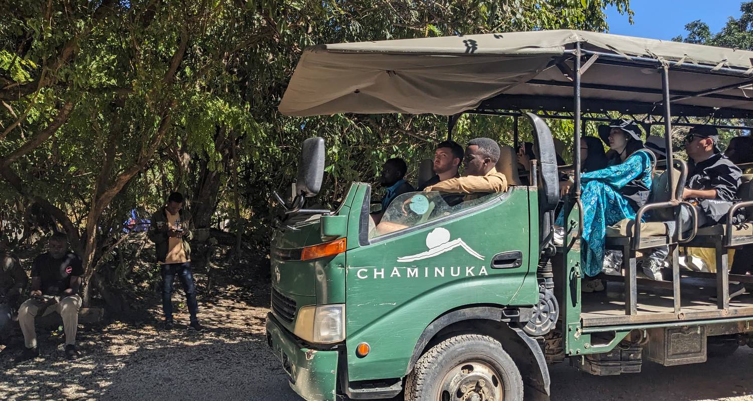 1 día- Experiencia de safari en la Reserva Natural de Chaminuka en Lusaka - Lochinvar Safaris