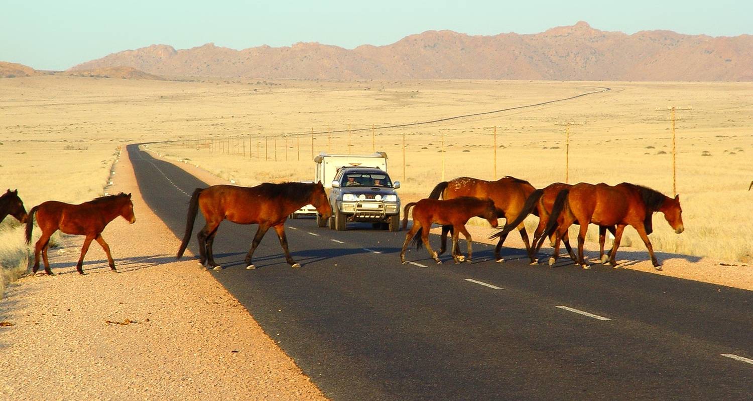 12 Days Namibia in Plus | Auto Tour Lodge - Motema Tours and Safaris