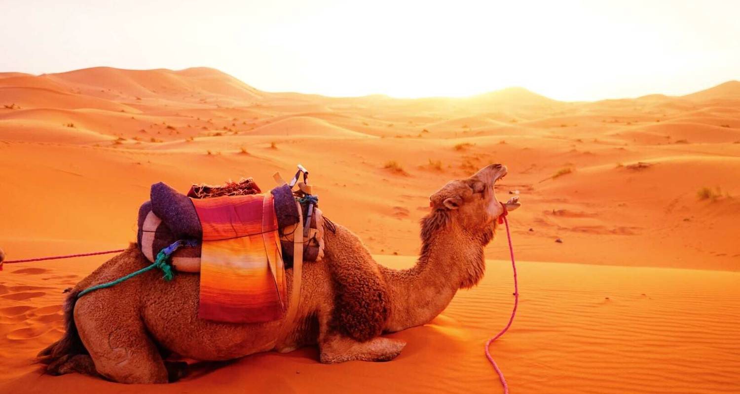 Marokko Rundreise & Wüstenabenteuer ab Marrakech (8 Tage) - Tilila Travel