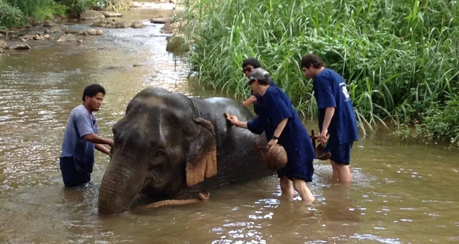 Experience real Bangkok and Chiang mai , Small Group - LJ Biz