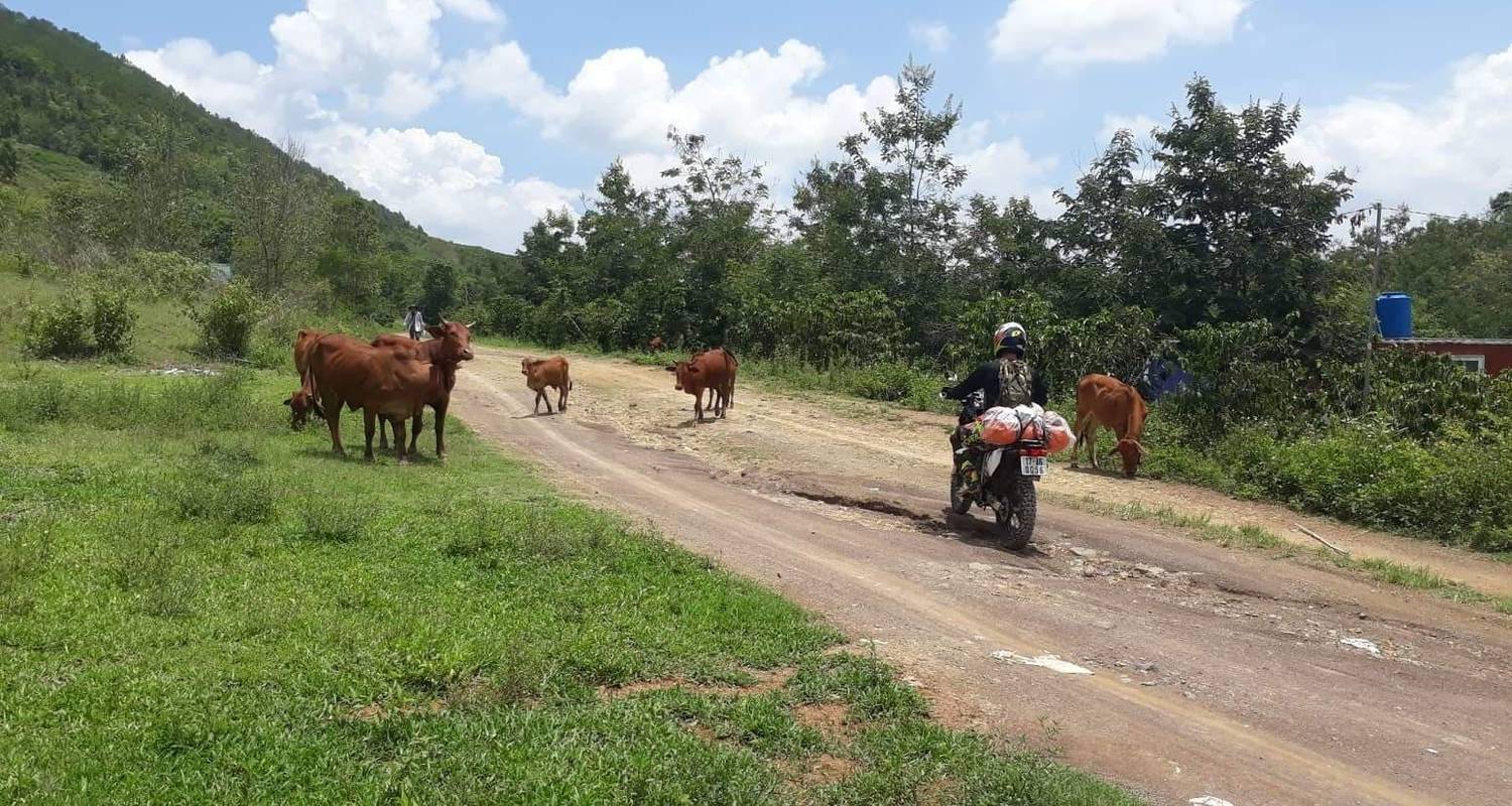 Motorrit Rondreizen in Zuid-Vietnam