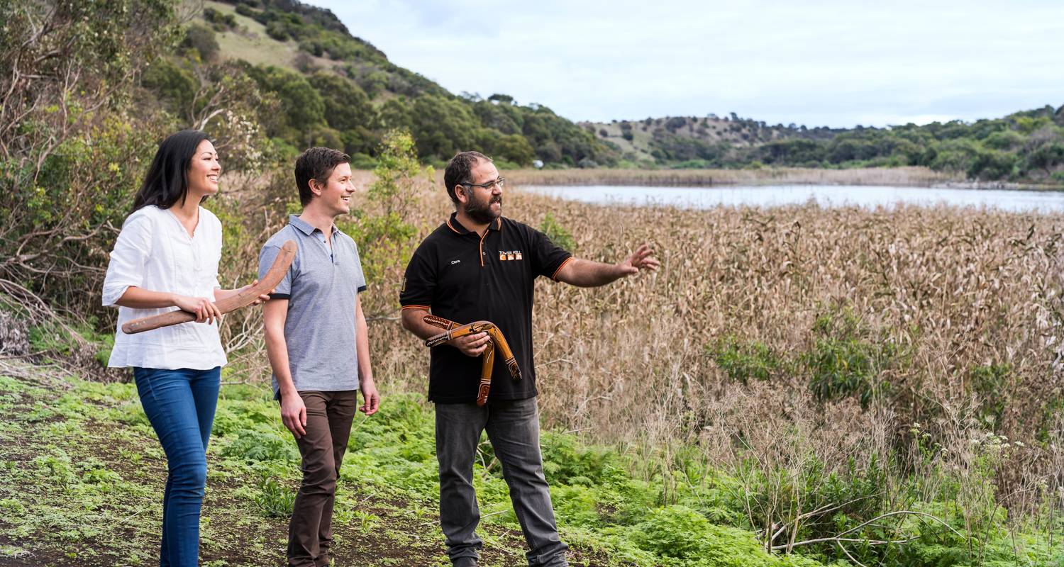 2 jours de découverte de la Great Ocean Road et d'Otway - Autopia Tours