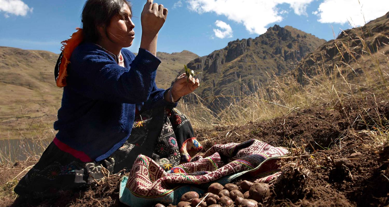 Tourisme communautaire rural dans le parc de la pomme de terre - Service privé - Inkayni Peru Tours