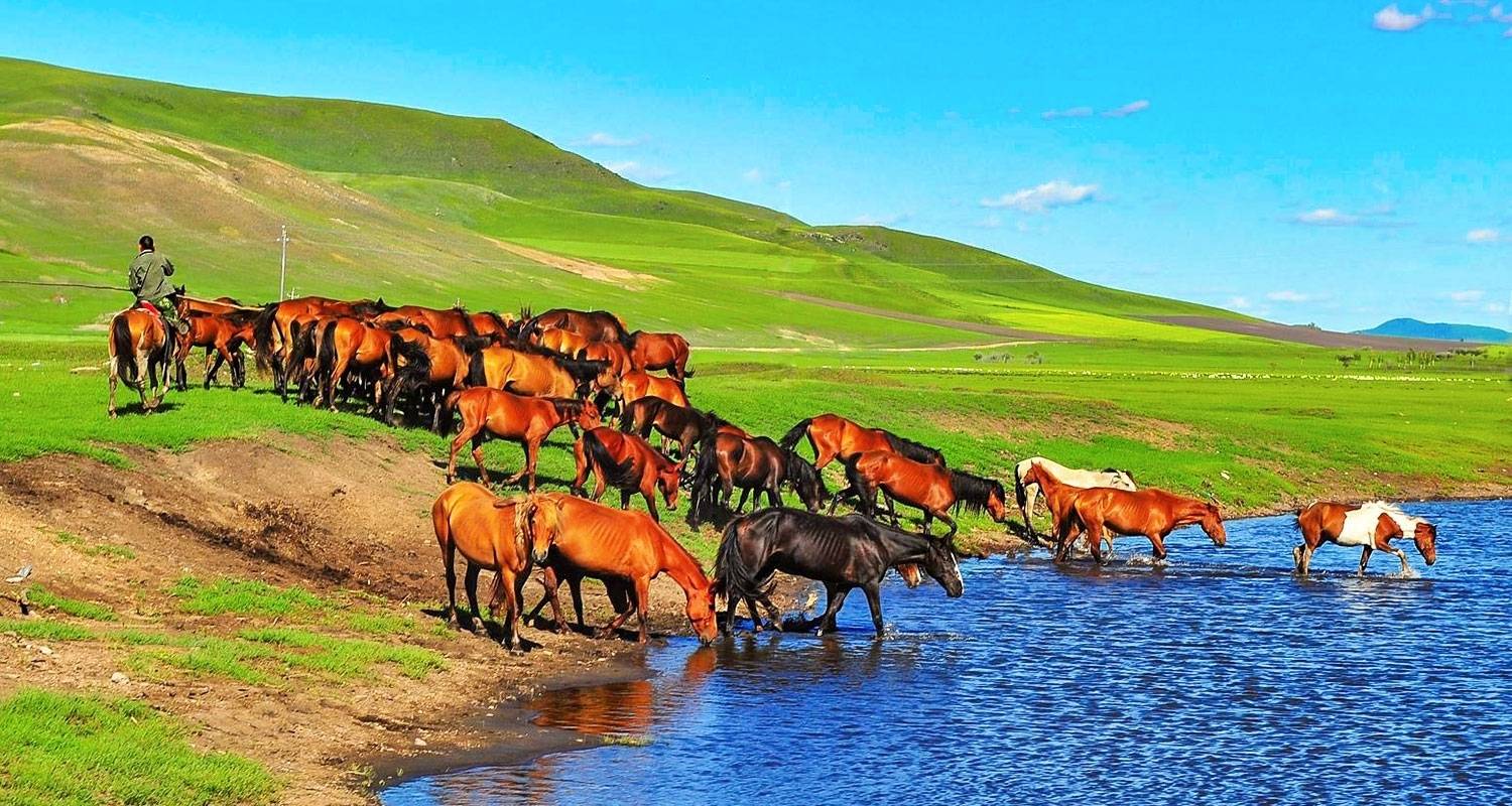 Tailor-Made Mongolia Highlights Tour, Private Guide & Driver