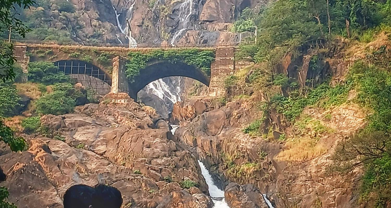 Heilige Kaskaden: Dudhsagar Wasserfall & Tambdisurla Tempel ab Goa - Agora Voyages OPC Pvt Ltd