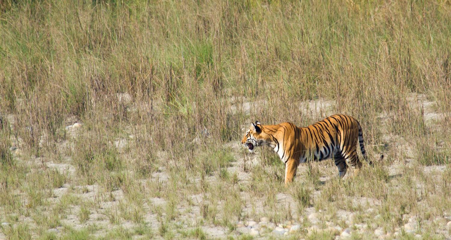 Bardia National Park Tours & Trips