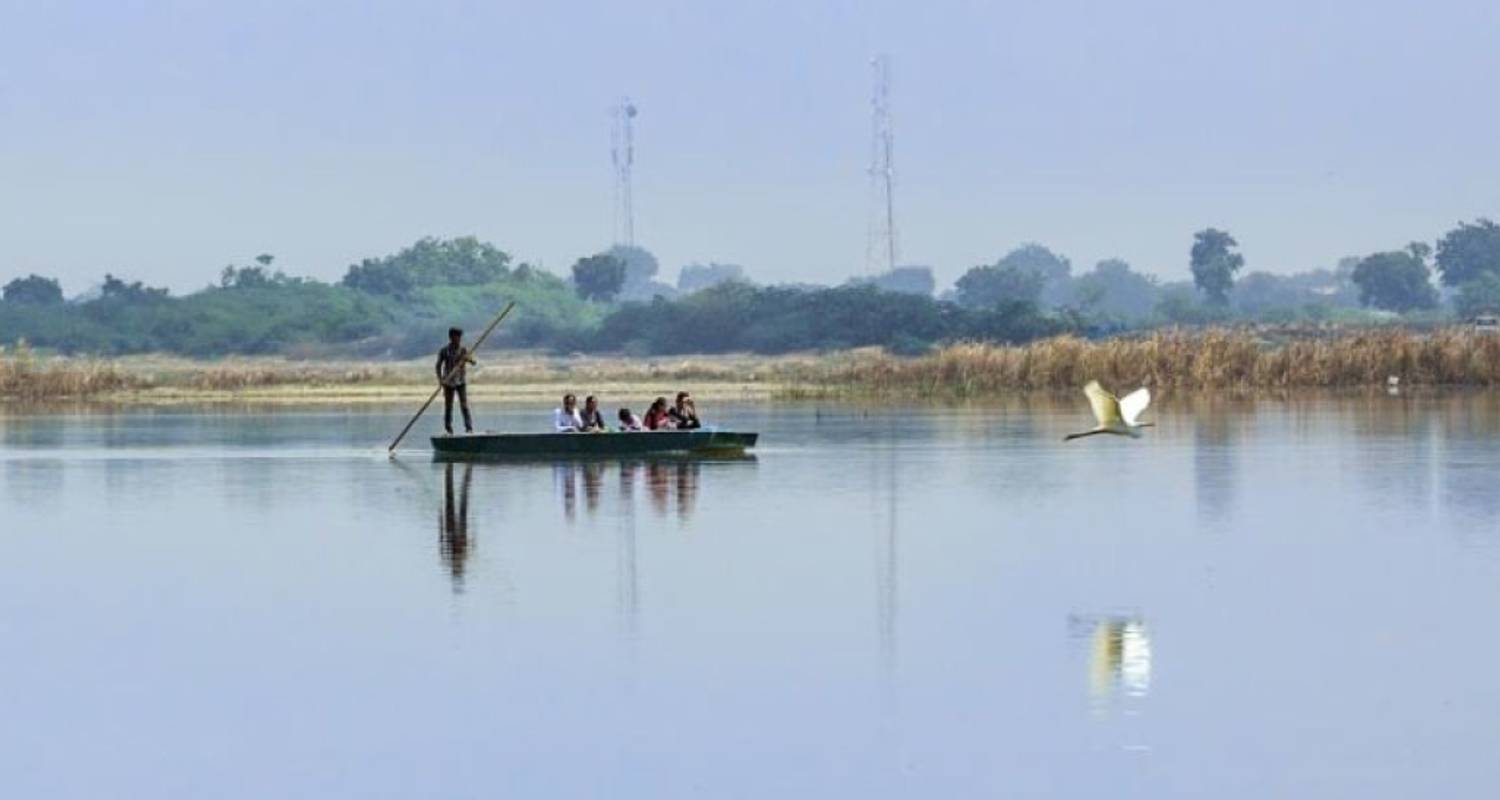 Circuito de un día al Santuario de Aves de Nal Sarovar y a la zona arqueológica de Lothal - Agora Voyages OPC Pvt Ltd