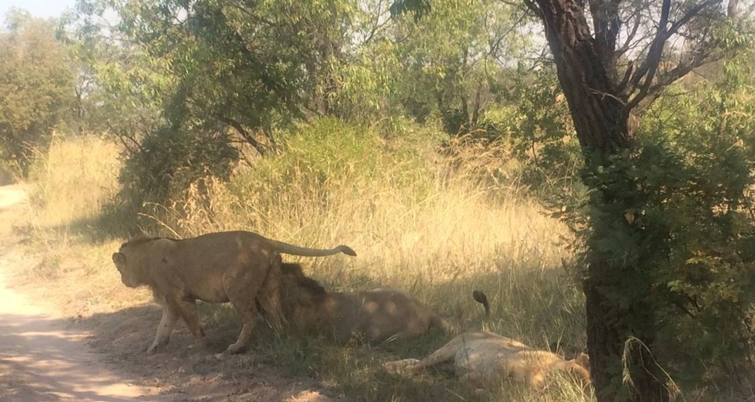 Guateng Tours in January 2025