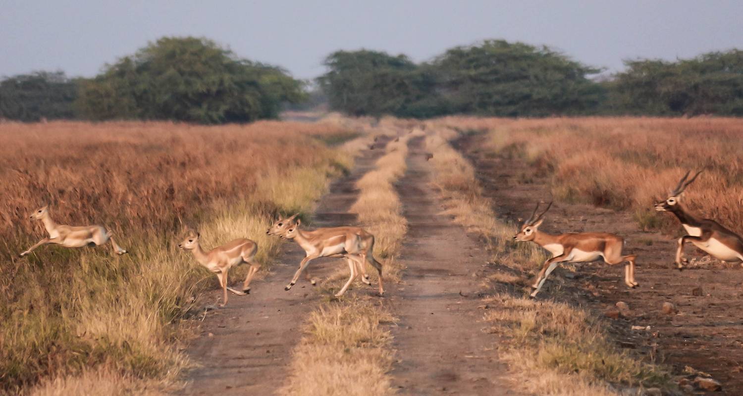 Indien Rundreisen ab Vadodara