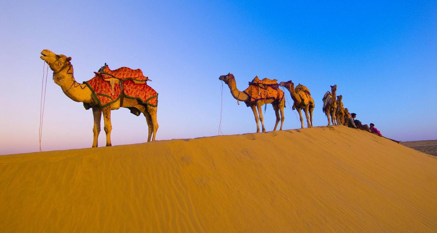 Rajasthan Round Trip by Welcome Rajasthan Tours & Travels (Code: WDL