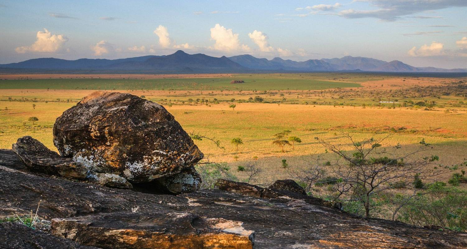 4-Day Kidepo Valley National Park Wildlife Experience - Ngoni Safaris Uganda