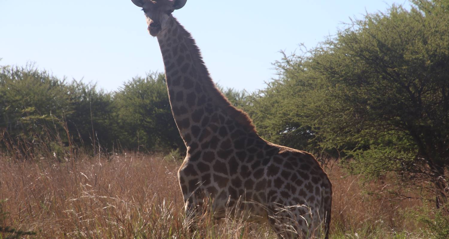9 Days Wildlife, Primates and Nature Tours - Buyaga Safaris