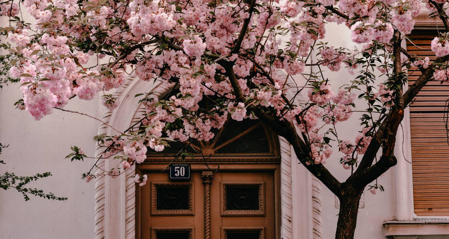 Small Group Tour; The Balkans & Central Europe from Dubrovnik to Vienna