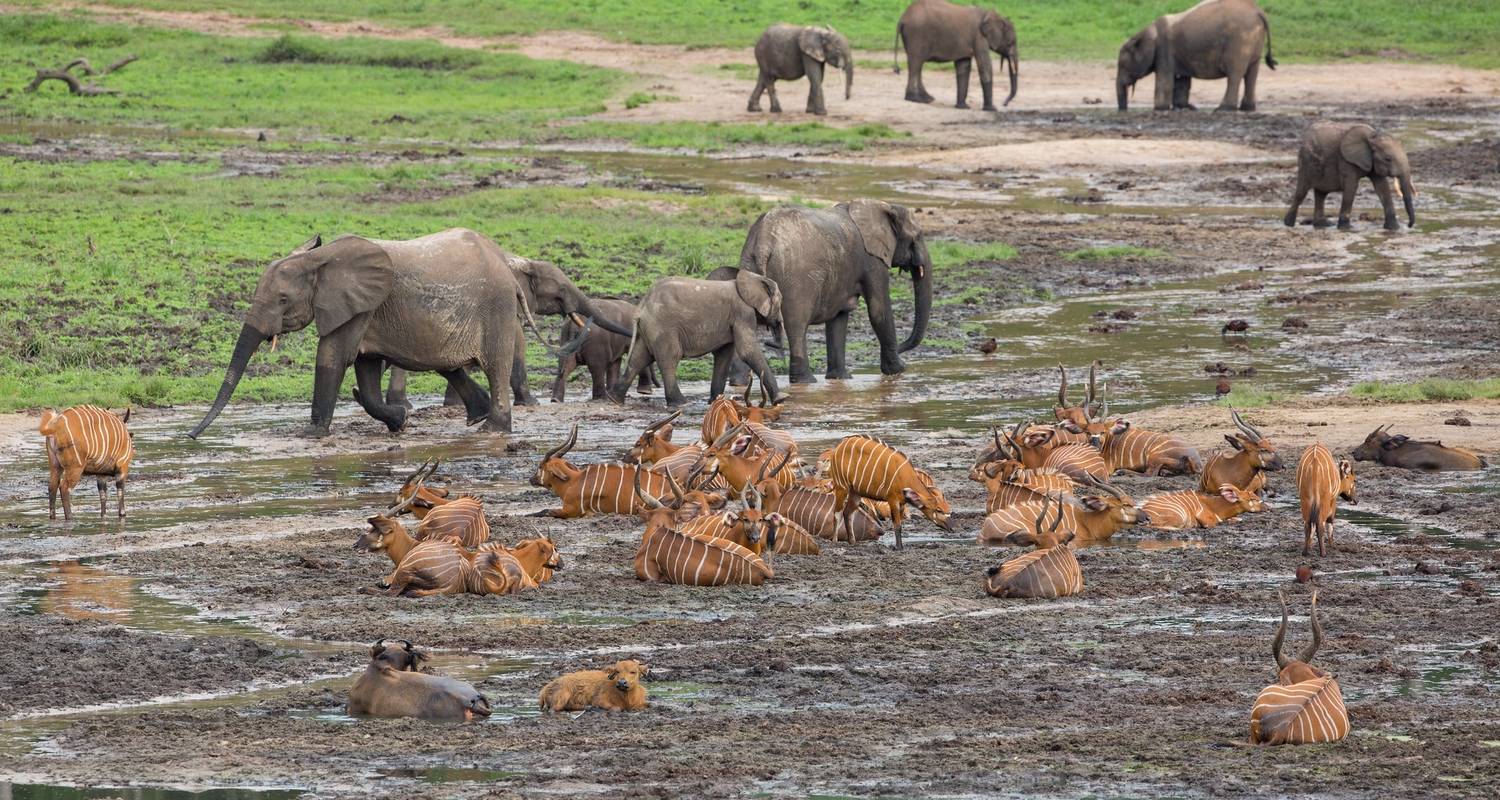 Azobe East Adventure Safari 13D/12N