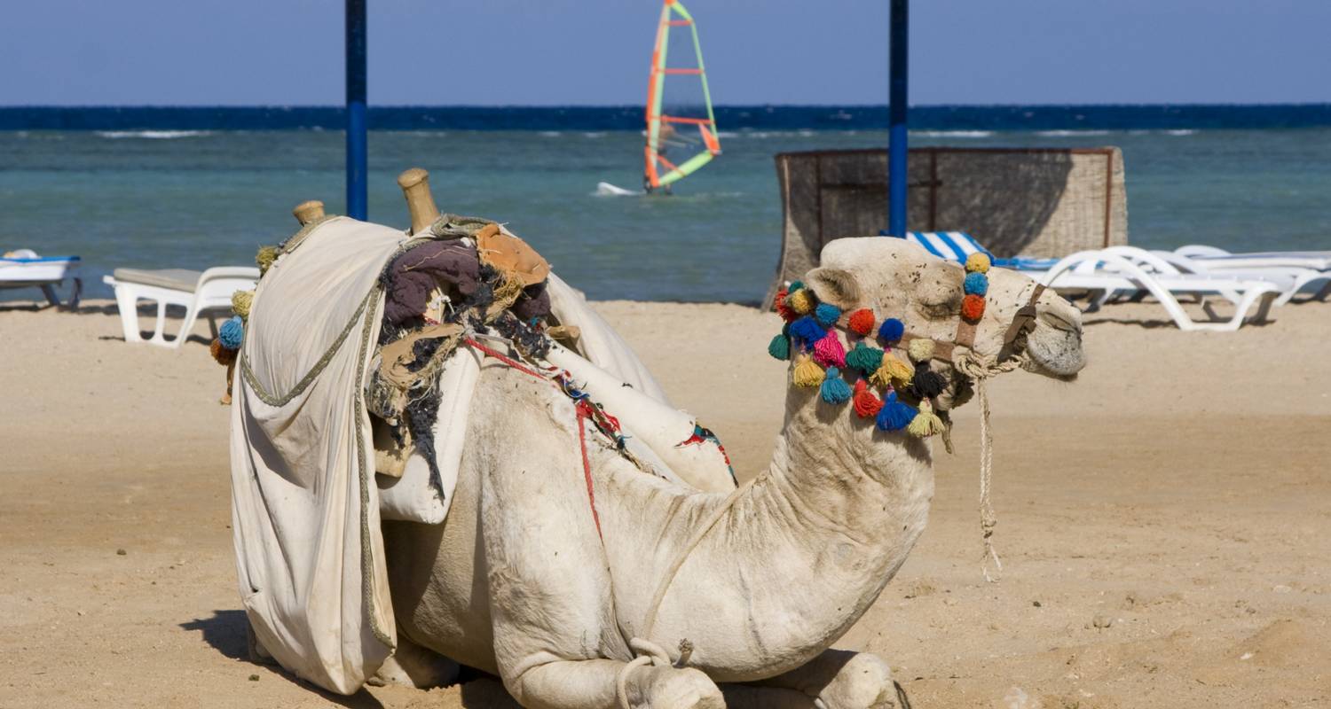 Kamele, Kasbahs & Strand (Familienerlebnis, 12 Tage) - Nomadic Tours