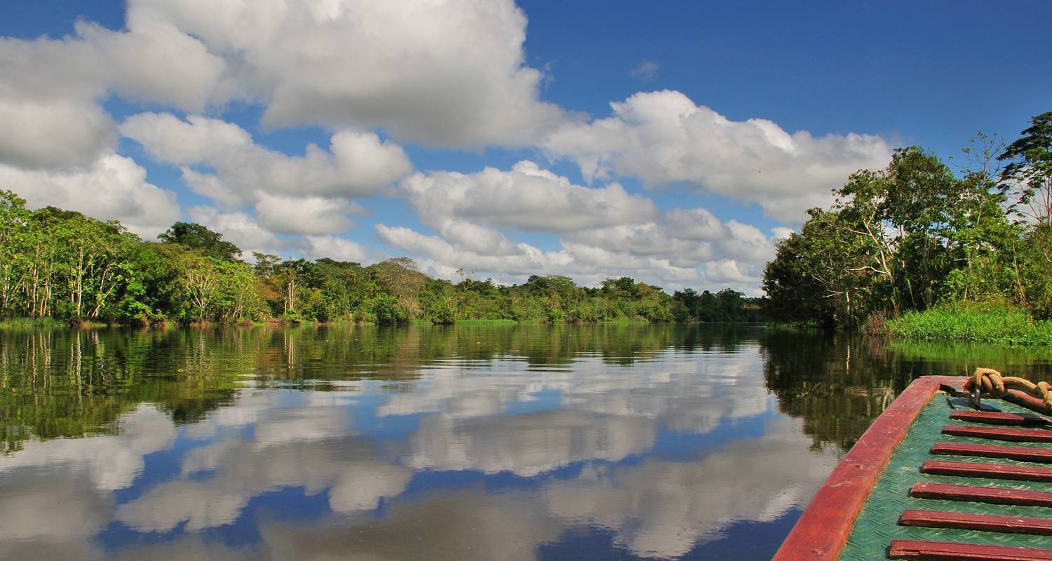 Amazonian Basin Tours from Iquitos