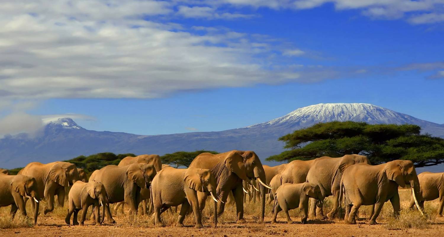 Verkenner Rondreizen in Mount Kenya