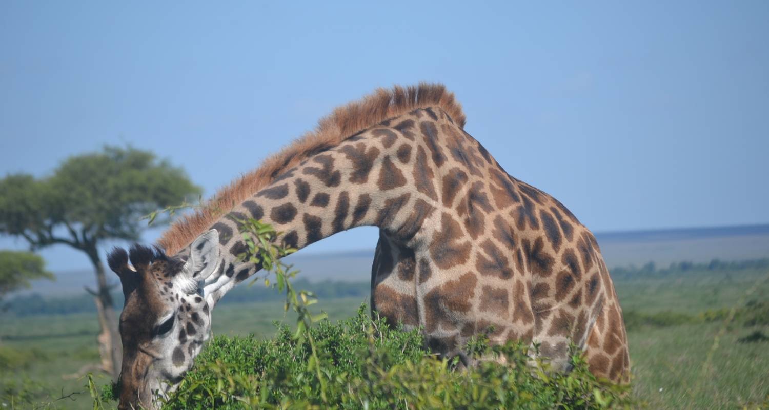 Avontuurlijke safari in Kenia – 8 dagen - Exciting Africa Holidays