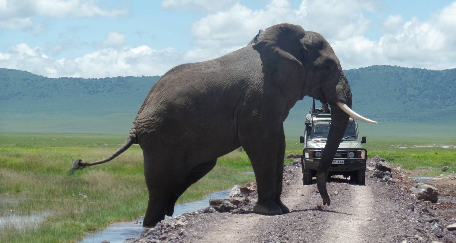 Familie Rondreizen in Kenia