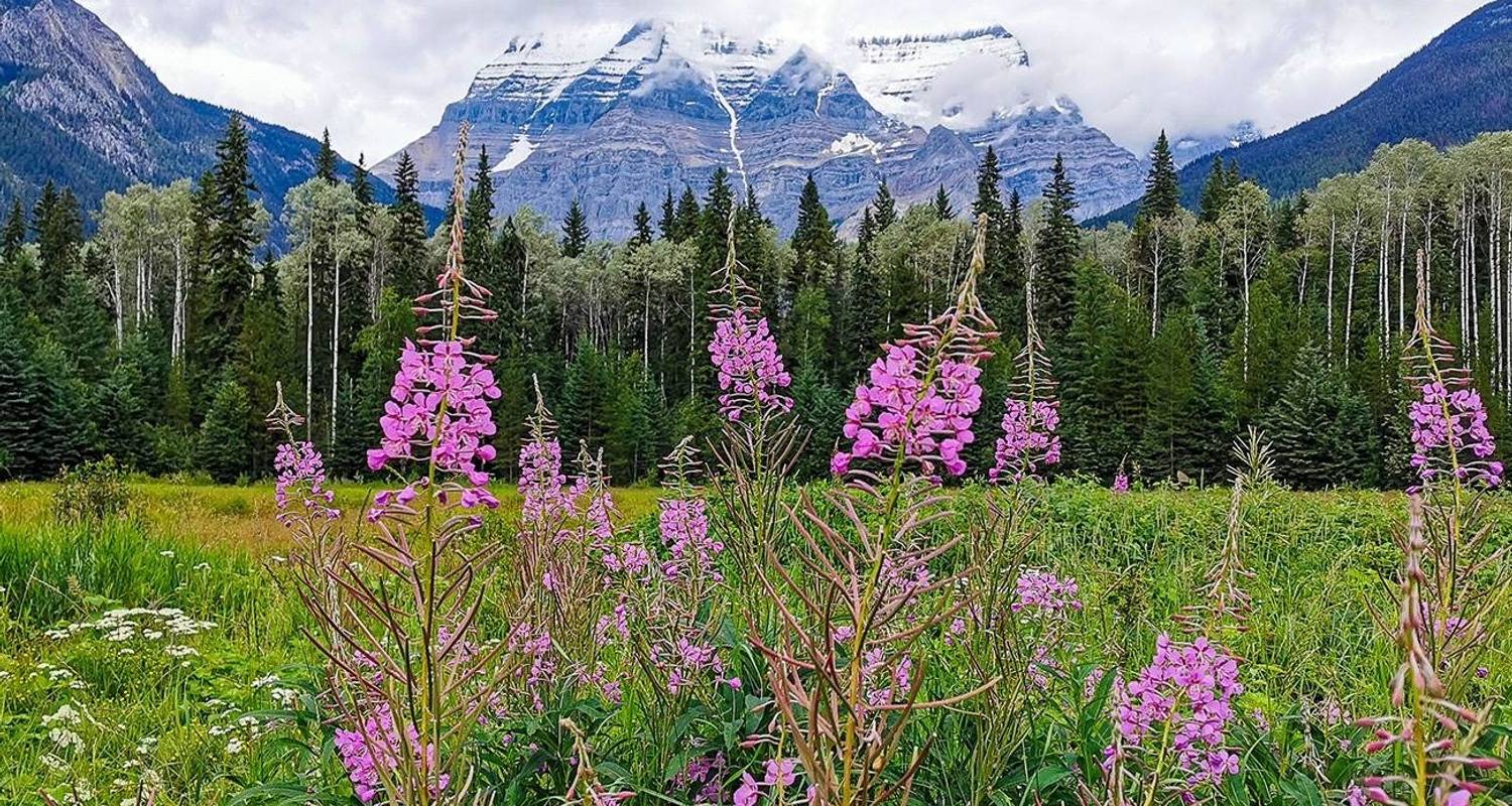 Panorama der kanadischen Rocky Mountains (20 Tage, Panorama der kanadischen Rocky Mountains Alaska-Kreuzfahrt Verandah) - Costsaver