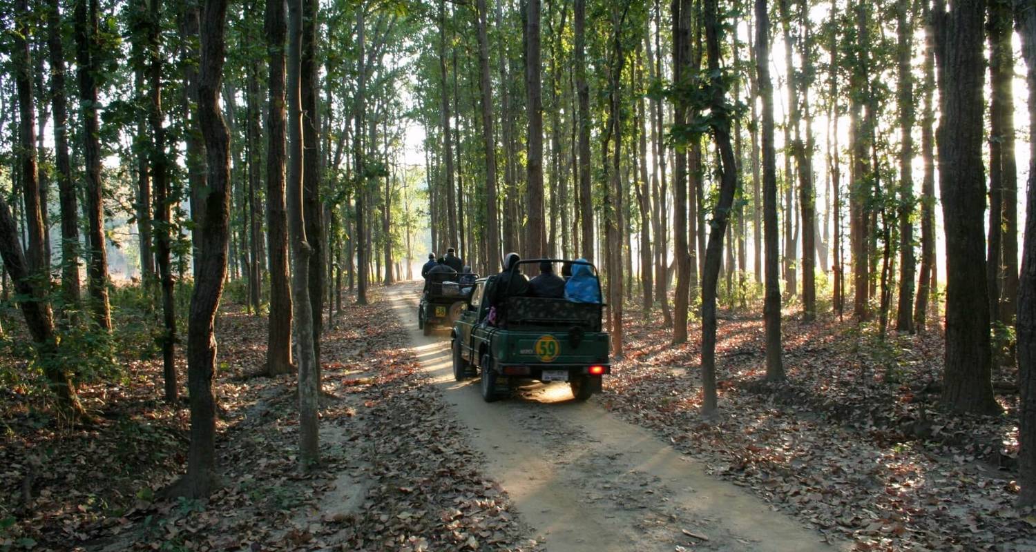 Wildlife & Natuurfotografie Rondreizen in Noord-India