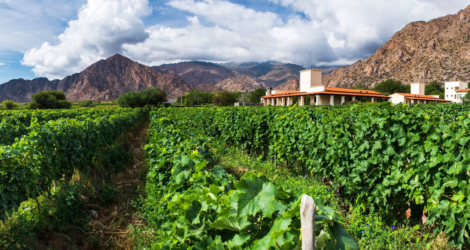 Salta: Humahuaca-Tal & Weinkellereien in Cafayate 4 Tage - Signature Tours