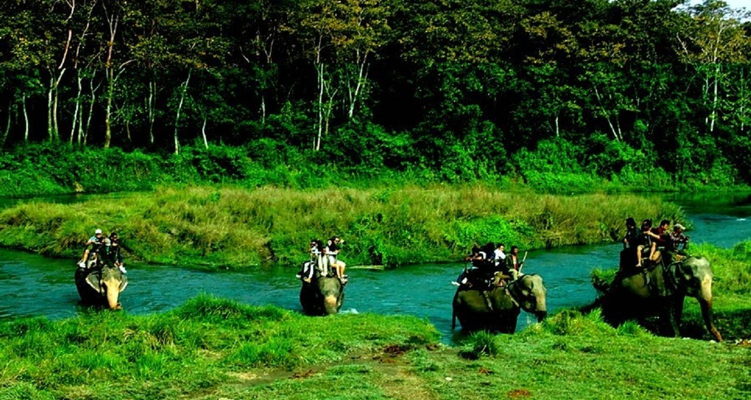 Group Tours & Trips in Chitwan National Park