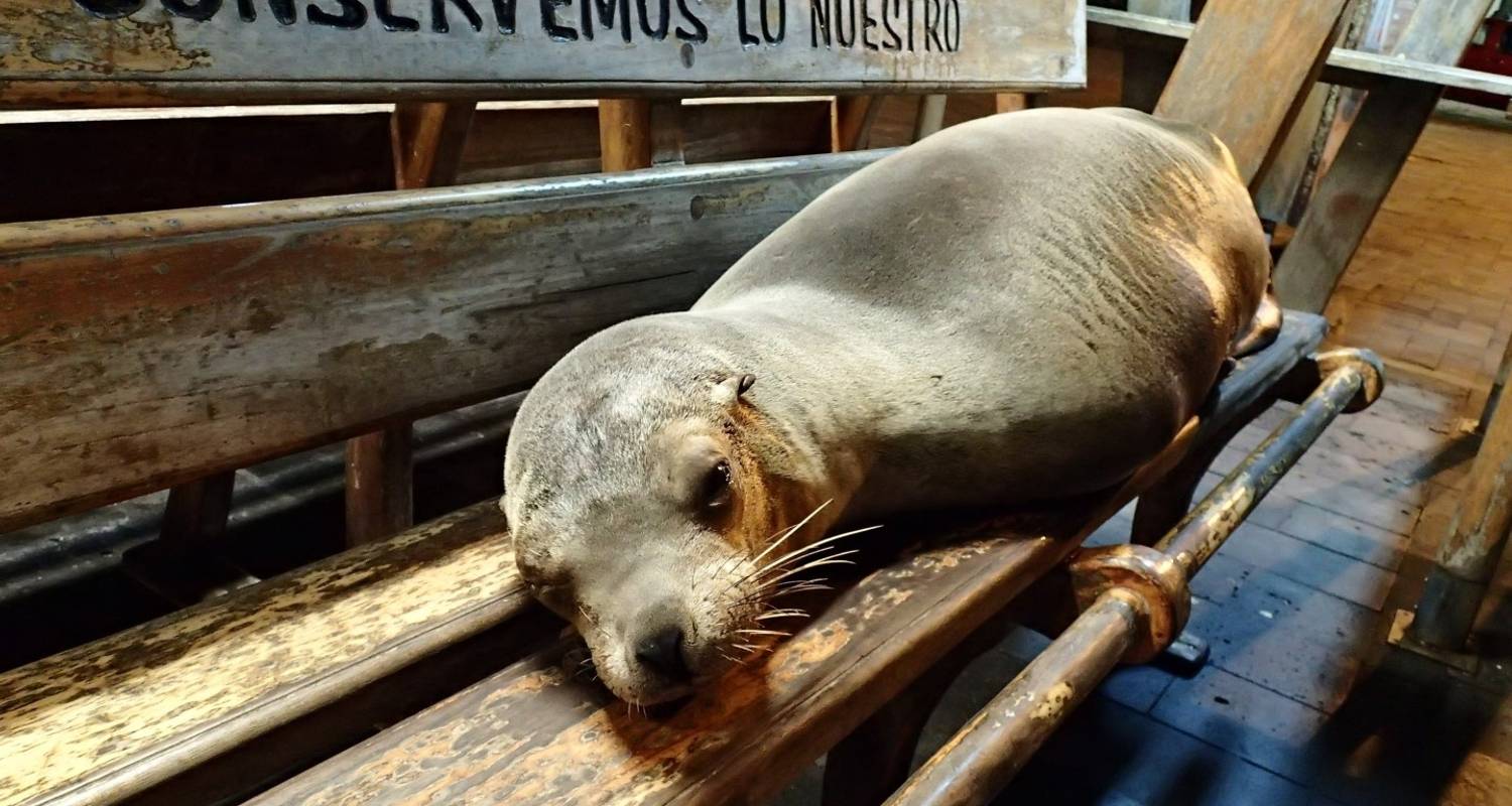 5 días en las islas Galápagos: San Cristóbal y Santa Cruz - Ecuador Galapagos Travels