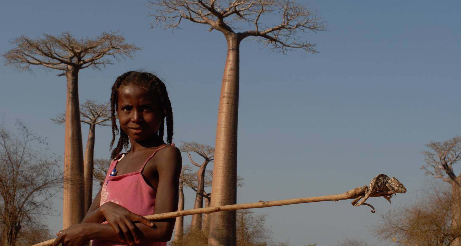 Circuito explorando los Baobabs - Green Island Discovery