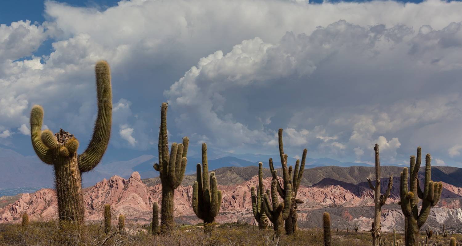 4 Days tailor-made trip.  Salta & Cafayate. Among Valleys, Gores and Vineyards. - Signature Tours