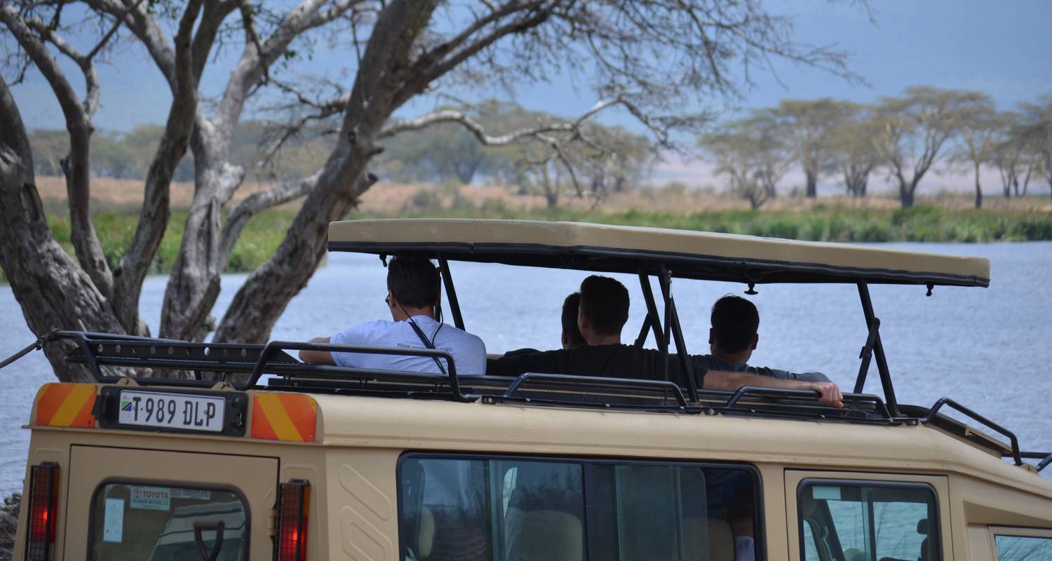 2-day Budget Lodge safari to Tarangire and Ngorongoro - African Polecat Safaris