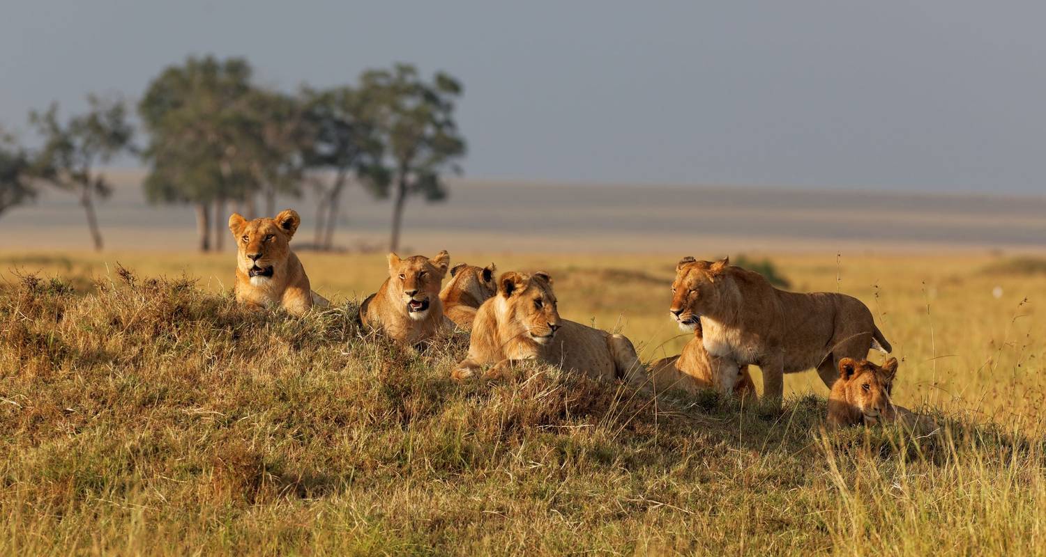 Rundreisen von Nairobi nach Dar es Salaam