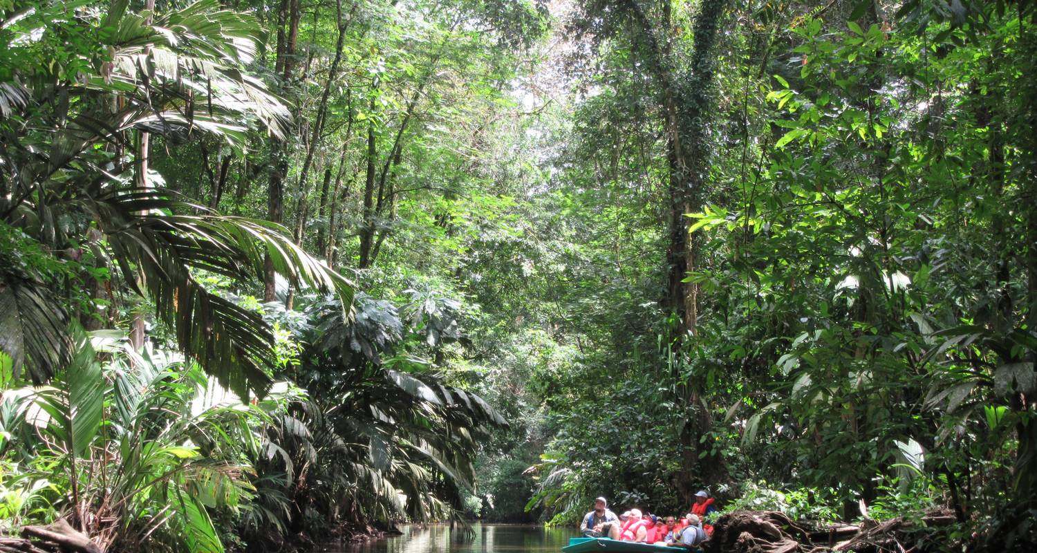 L'aventure costaricienne dans les Caraïbes - Green World Adventures