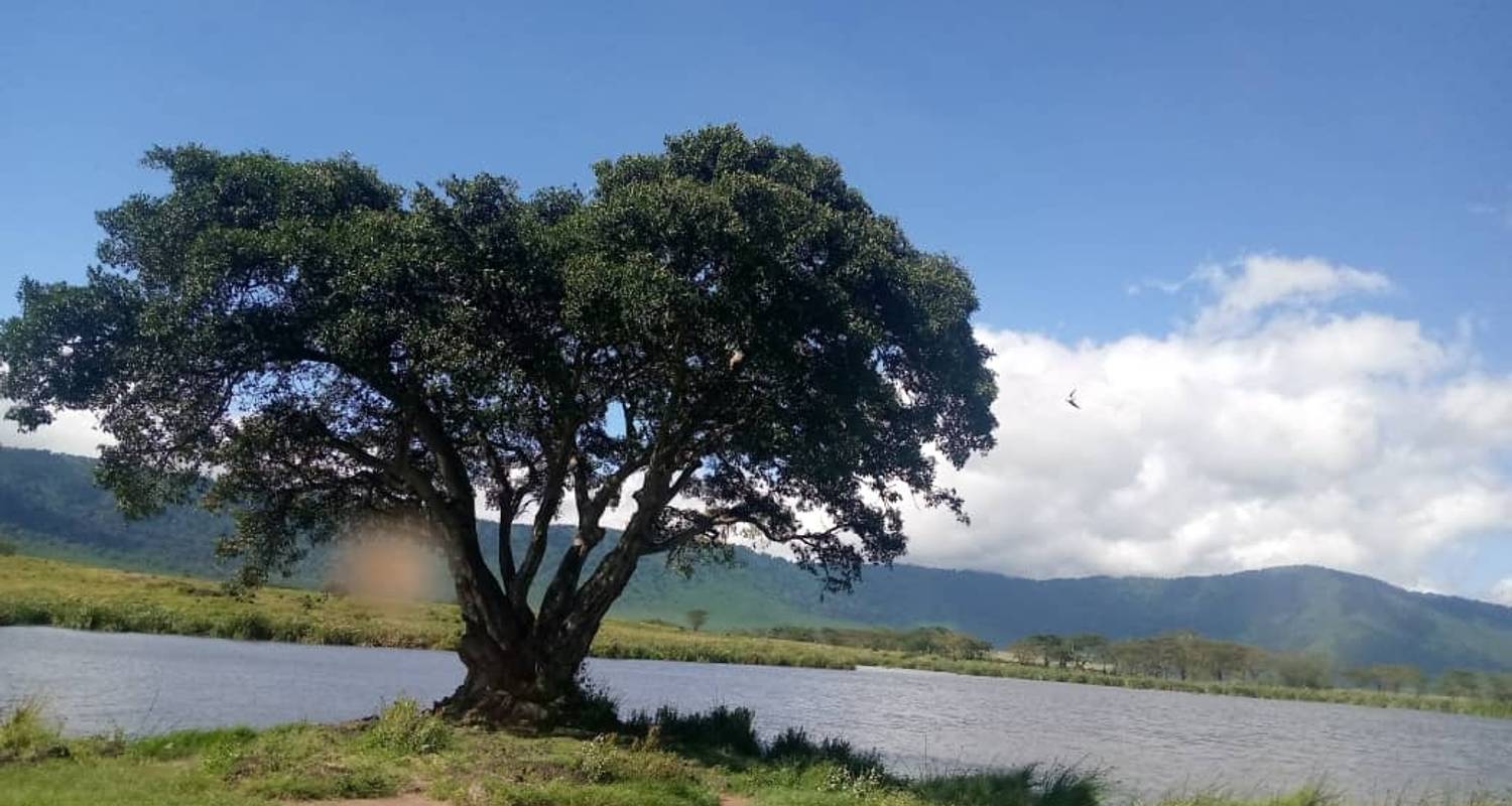 4 jours de safari dans le nord de la Tanzanie à Tembo - Great Lake Expedition