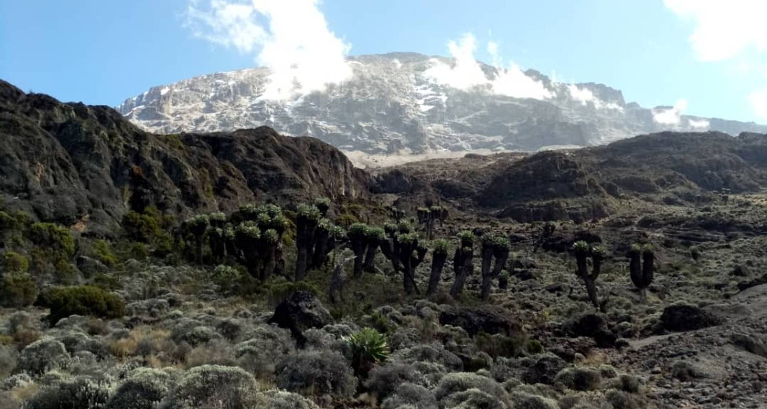 Kilimandscharo-Trekking - Marangu-Route - RajaTours Tanzania