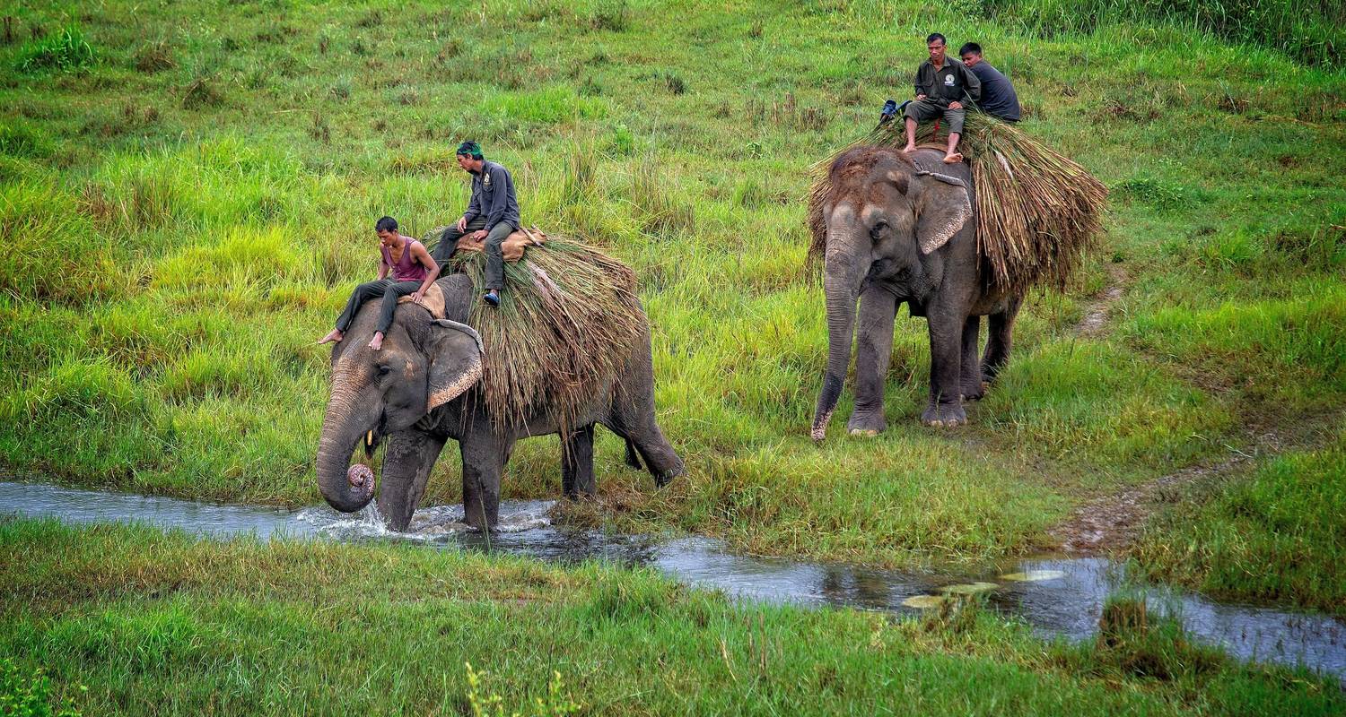 Chitwan Dschungel Safari - 3 Tage - Alpine Club of Himalaya