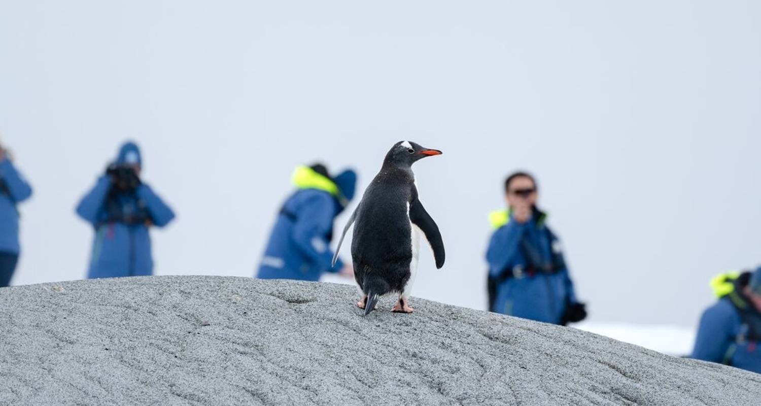 Voyage du WWF vers le cercle et les géants de l'Antarctique - Ocean Endeavour - Intrepid Travel