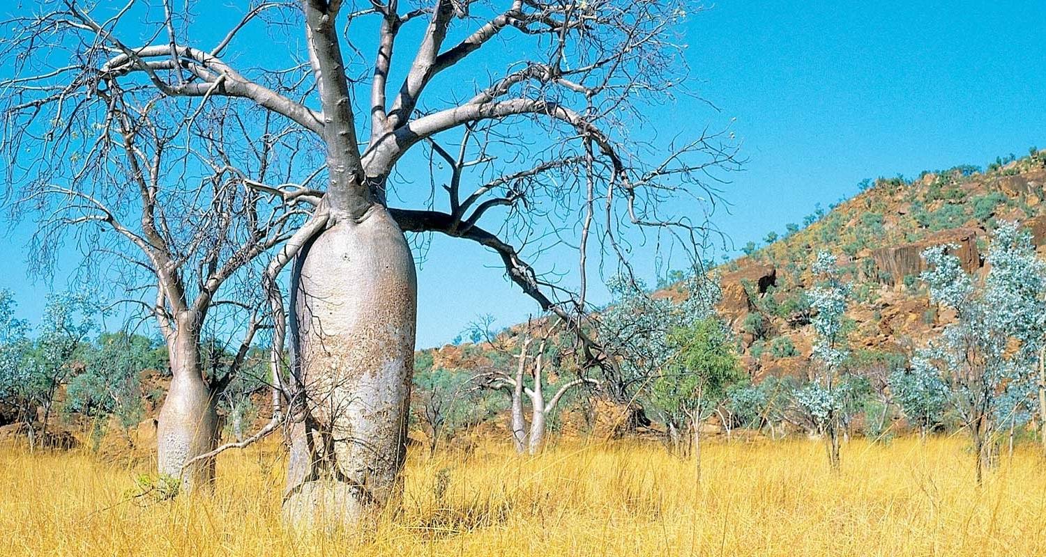 Actief Avontuur Rondreizen in West-Australië