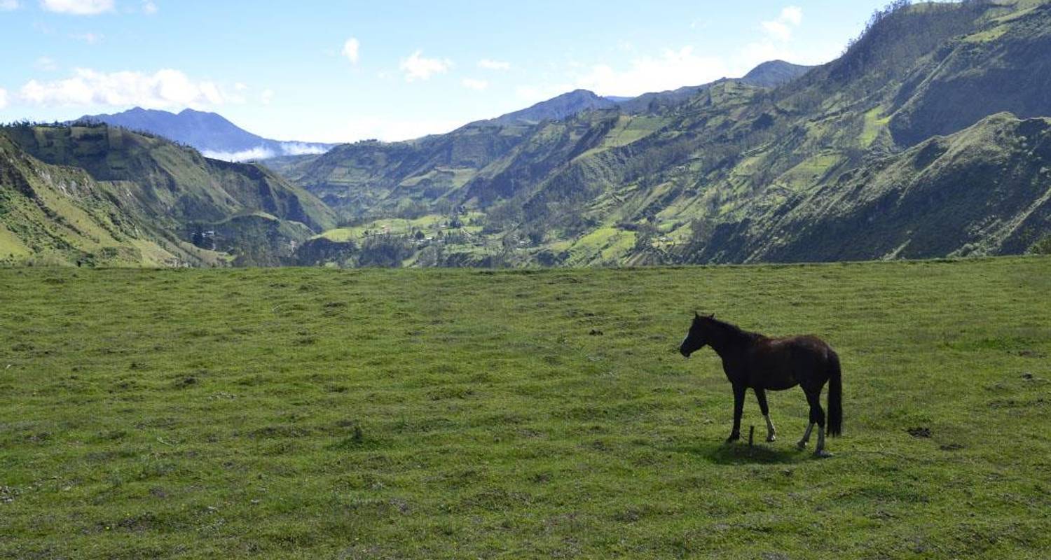 Avenue Of The Volcanoes Adventure Tours