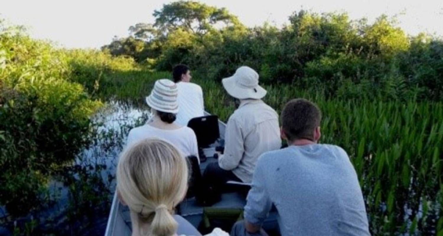 4 Days North Pantanal - Unearthing exotic treasures in the Pantanal wetlands - New*** - Signature Tours