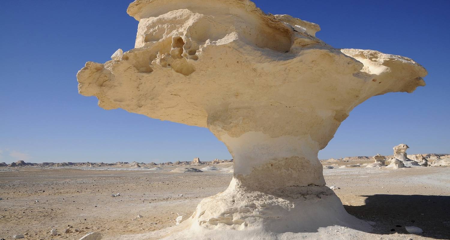 Voyage en Egypte Le Caire et Alexandrie avec le désert blanc - 9 jours - Marsa Alam Tours