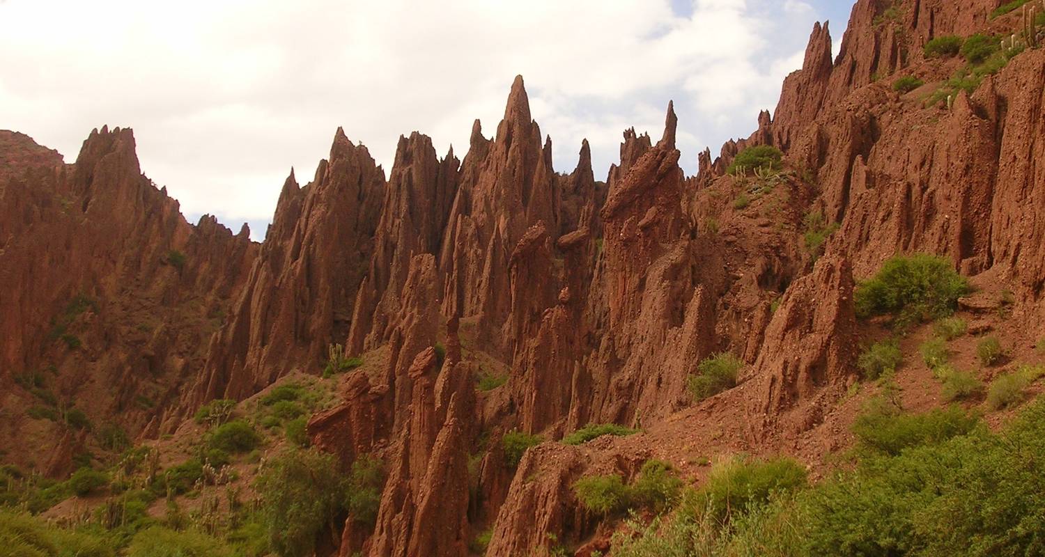 Bolivia : La Quiaca & Hito Cajón - 4 dagen - Receptivo Aborigen Tours