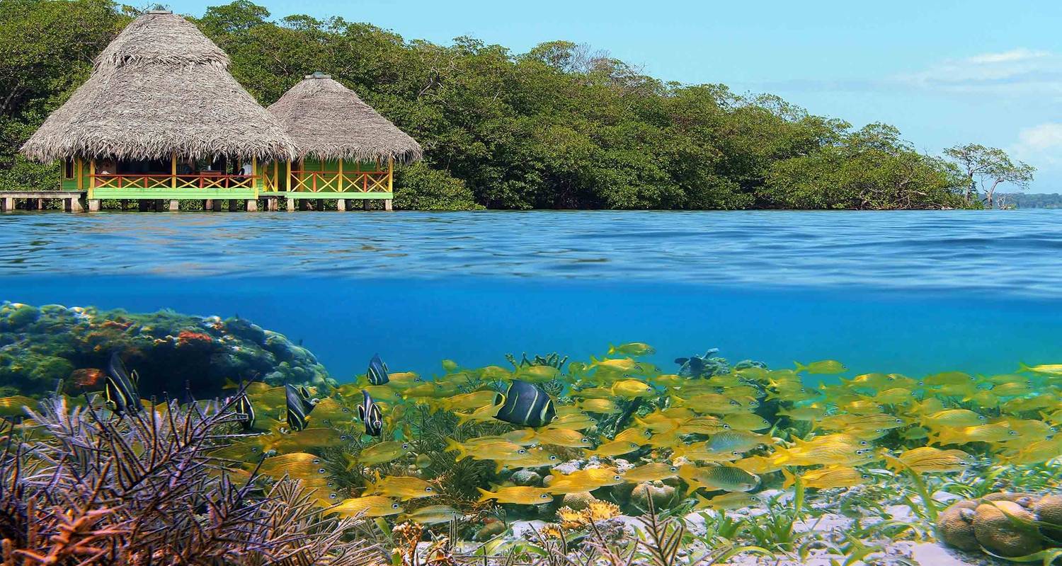 Bocas del Toro Circuit - 3 days - Receptivo Aborigen Tours