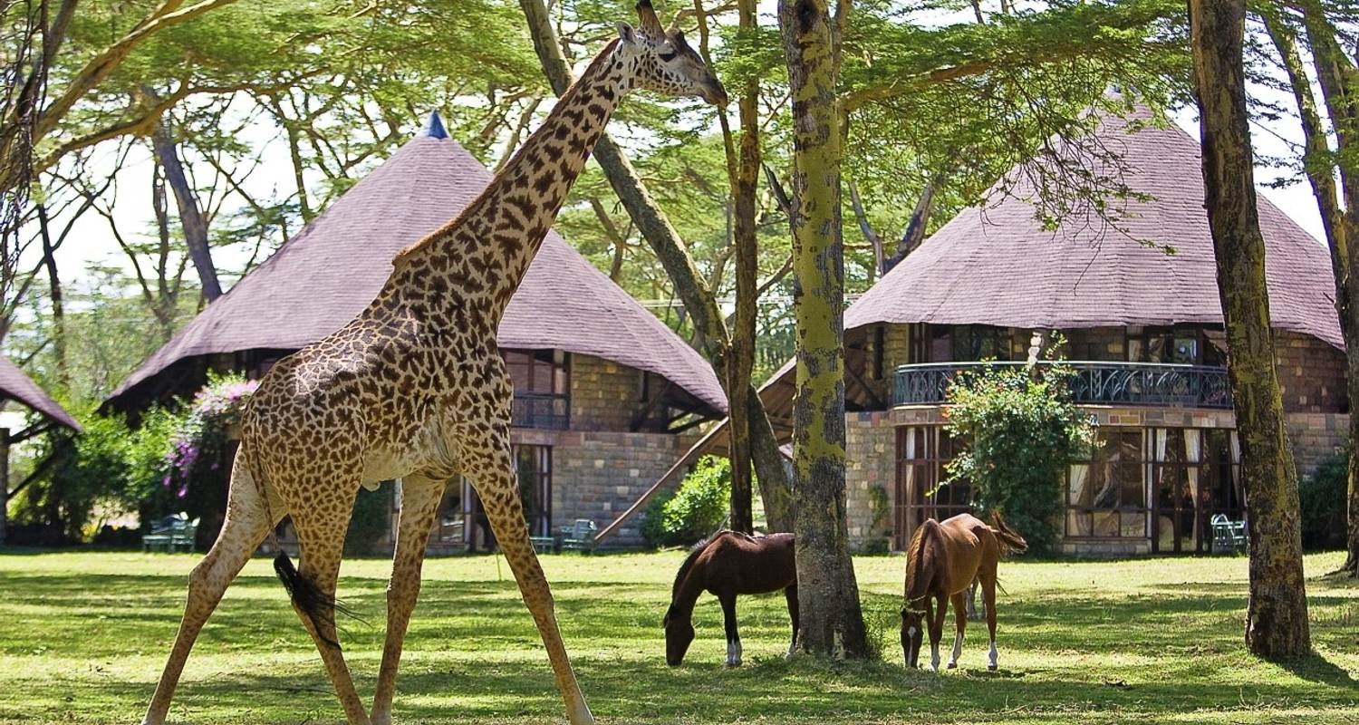 Safari de 8 días a los mejores encuentros con la fauna de Kenia - Gracepatt Ecotours Kenya