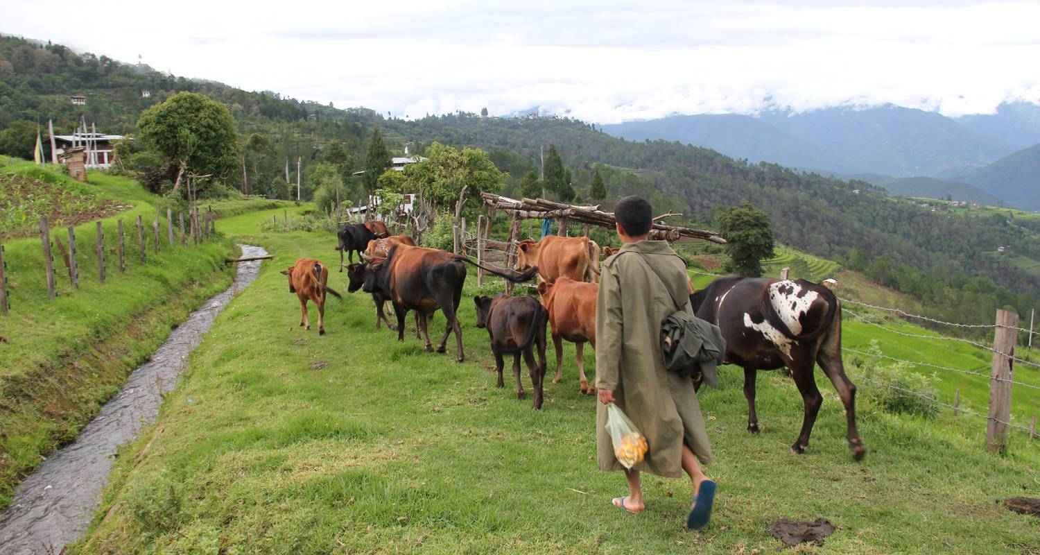 Best of Bhutan Tour