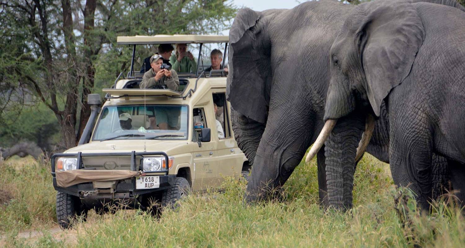 Safari de 4 jours au Tarangire, au lac Manyara et au cratère du Ngorongoro - Moyen de gamme - Gracepatt Ecotours Kenya