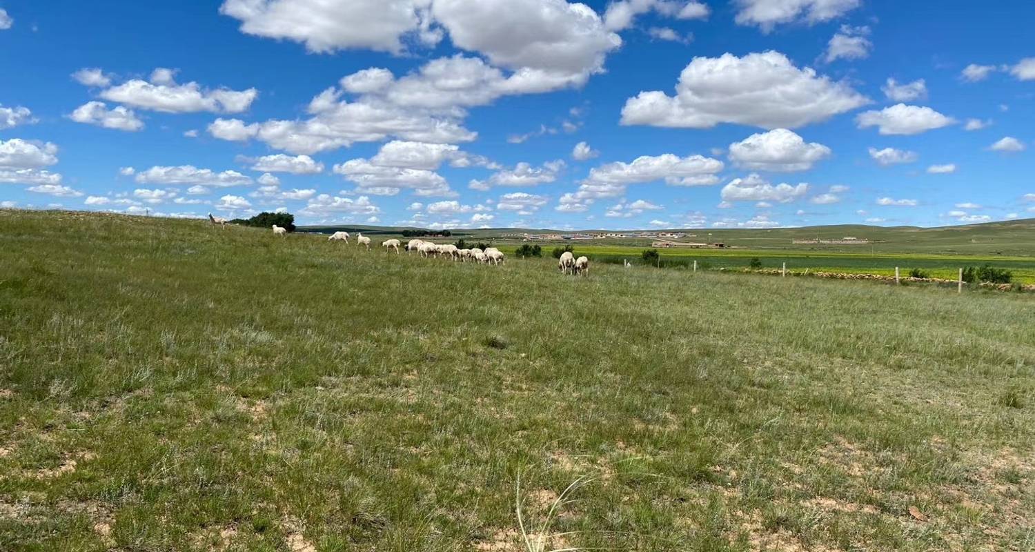 Visite de 4 jours de la prairie de Hohhot au départ de Pékin en train Bullet aller- retour - Silk Road Trips